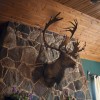 Cascade Lodge 2 Cascade Lodge 2