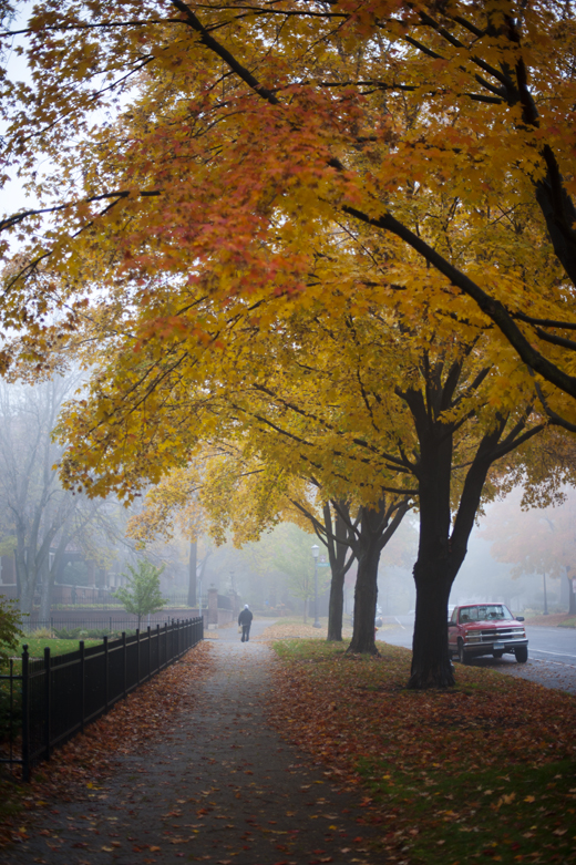 Foggy Saint Paul 1