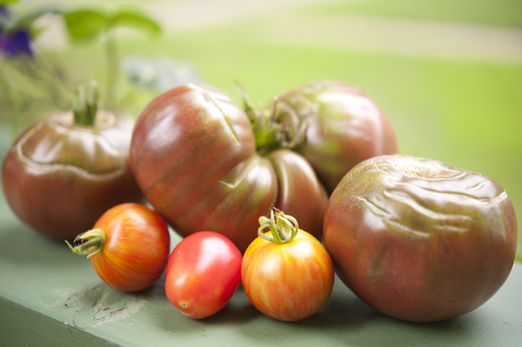 Garden Bounty 14