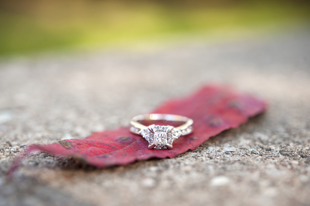 Minnehaha Falls Engagement Session 29