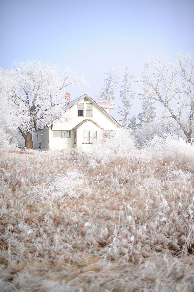 white house with frosty trees