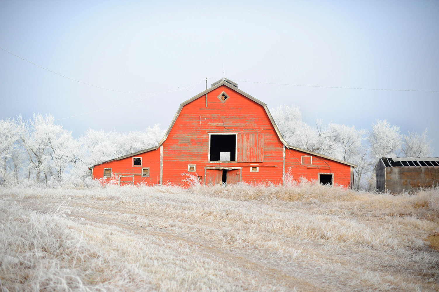 red barn with frost