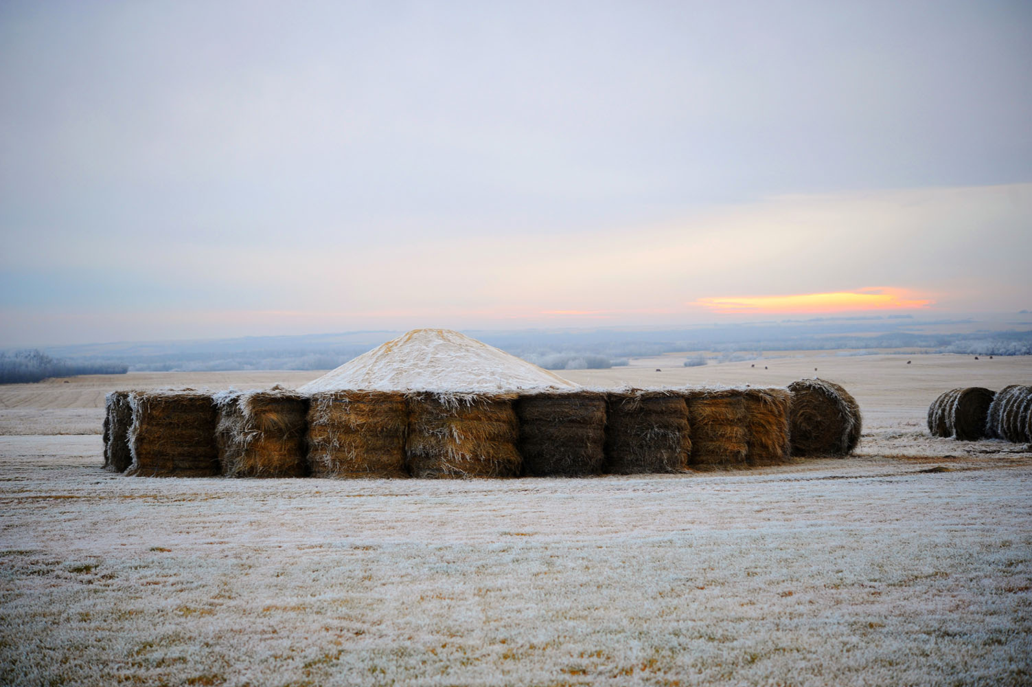 frost on hay bales at sunset