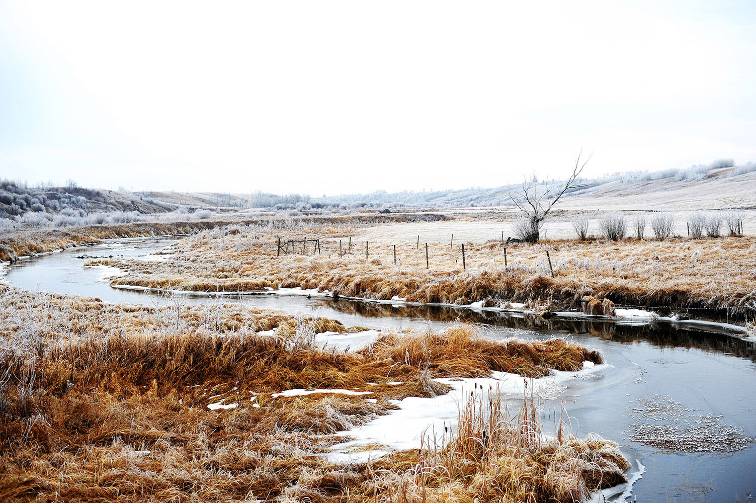 Frosty winding stream in Saskatchewan Canada